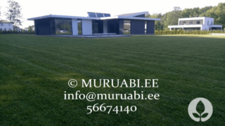 hooldatud muru