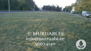Trimmerdamine Tallinnas ja Harjumaal. Muruabi